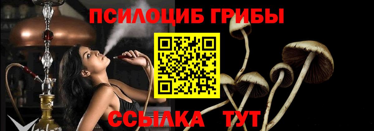 Галлюциногенные грибы мухоморы  Псилоцибиновые грибы Psilocybine cubensis  Вход с VPN  Лесозаводск 